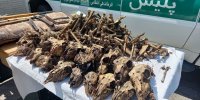 چاه پر از جمجمه در حاشیه «موته» | محیط زیست در انتظار نتایج آزمایش ‌ها | متخلفان نقره داغ می‌ شوند