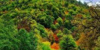 شلوغ‌کاری مجازی برای میراث زنده جهانی | سه مسئول ارشد به حاشیه‌سازی‌ها پاسخ دادند | پارک ملی گلستان تکه‌تکه می‌شود؟