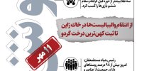 خوش خبرهای امروز | از انتقام والیبالیست‌ها در ژاپن تا ثبت کهن‌ترین درخت گردو | اینفوگرافیک