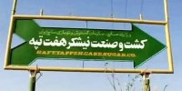 مالکان نیشکر هفت‌تپه بالاخره مشخص شدند+ سند