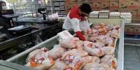 آخرین قیمت کالاهای اساسی در میادین شهرداری