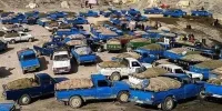 مسیر قاچاق سوخت زیر ذره‌بین | چطور می توان از قاچاق سوخت جلوگیری کرد؟