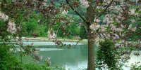 آب‌بندان توشن، یکی از جلوه‌های ارزشمند طبیعت استان گلستان