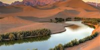 تصویری زیبا از تالاب پساب یزد