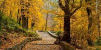 قابی زیبا از قلعه میران گلستان