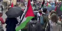 حامی فلسطین: شما مایه ننگ نیوزیلند شدید