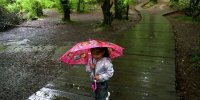 ۱۴ استان کشور بارانی می‌شود