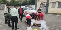 سرنوشت کوهنورد مشهدی بعد از ۲ هفته مشخص شد