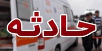 واژگونی مینی‌بوس حامل دانش‌آموزان در بوشهر/ آمار مصدومان