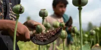 جاساز عجیب شیریه تریاک از یک سوداگر مواد مخدر کشف شد