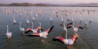 دریاچه ارومیه یک متر و ۱۴ سانتی‌متر بالاتر آمد/ حجم آب به ۲ میلیارد و ۵۵۰ میلیون مترمکعب رسید