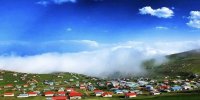 وقتی جنگل به ساحل می‌ رسد | گیسوم چطور مقصد گردشگران شد؟