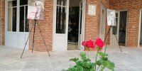۱۰۰ مسیر گردشگری ادبی ایران طراحی شد | از سووشون شیراز تا خانه نیما و کافه‌گردی صادق هدایت