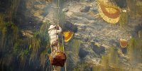تصاویری جالب از شکارچیان عسل وحشی | عکس