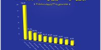 برترین‌های بورس کالا در هفته پایانی اردیبهشت معرفی شدند