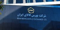 ۲۵۹ هزارتن محصول در سبد خریداران قرار گرفت