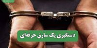 دستگیری یک سارق حرفه‌ای