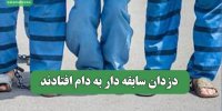 دزدان سابقه دار به دام افتادند