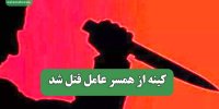 کینه از همسر عامل قتل شد