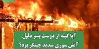 آیا کینه از دوست پسر دلیل آتش سوزی شدید چیتگر بود؟