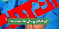 گروگانگیری برای یک مشت طلا