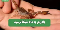 پادزهر به داد ملیکا نرسید