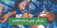 سارقان خشن به دام افتادند