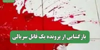 بازگشایی از پرونده یک قاتل سریالی
