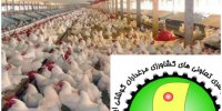 رفع موانع عضویت فعالان صنعت طیور در اتحادیه‌ها و شرکت‌های تعاونی مرغداران گوشتی کشور