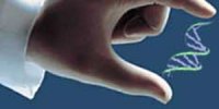 کوچک‌سازی دولت؛ یک شعار دور از واقعیت