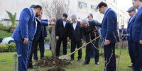 غرس نهال توسط مدیرعامل بانک ملّی ایران