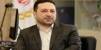 تلاش بانک ملی ایران برای افزایش سودآوری پایدار