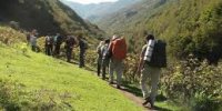 سهم ناچیز ایران از طبیعت گردی