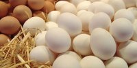 باورهای غلط در مورد کلسترول تخم مرغ