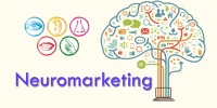 نورومارکتینگ راهی به سوی فروش واقعی