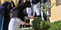دوره آموزشی زیست فناوری دانش آموزان فرزانگان در پارک علم و فناوری یزد برگزار شد