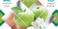 ششمین همایش مجمع خیرین سلامت آذربایجان‌شرقی
