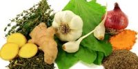 بهترین آنتی بیوتیک های گیاهی