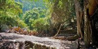 تصاویر قبرستانی عجیب که در آن مرده ها دفن نمی‌شوند