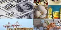 چه کالاهایی با ارز دولتی وارد کشور شده است؟