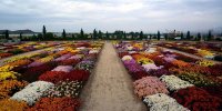 هلند ایران را بشناسید
