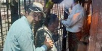 حمله شیر به مالک دهکده طبیعت قزوین در حضور معاون رئیس جمهور+فیلم