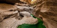 «طبس» گلشن کویر ایران