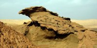 سمنان، شهر پرنده همای سعادت