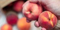 هلو میوه ای برای تقویت بینایی