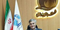 شهردار بندرانزلی از راه‌اندازی محل نگهداری سگ‌های بی‌پناه و احشام سرگردان خبر داد