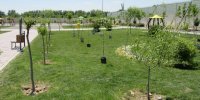 پاکسازی و طراحی دیوار های سطح شهر یزد با مدل کاهگلی