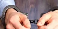 دستگیری دختر 17 ساله به جرم عقیم کردن دوست پسرش