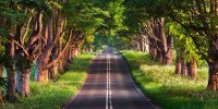 ویژگی‌های پارک‌های جنگلی ایران