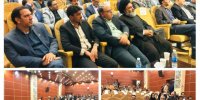 صادارت ۳۳ میلیون دلاری فرش ماشینی در کاشان
